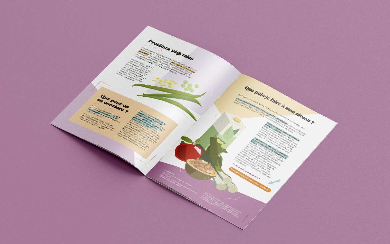 Conception graphique d'un rapport